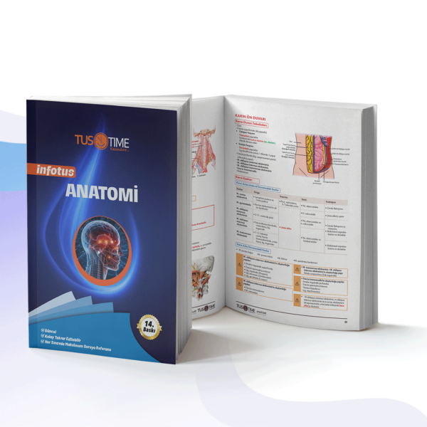 ANATOMİ