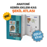 kmik-eklem-kas-site