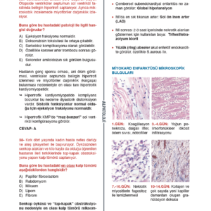 Alpatoloji Soru Bankası - Görsel 5