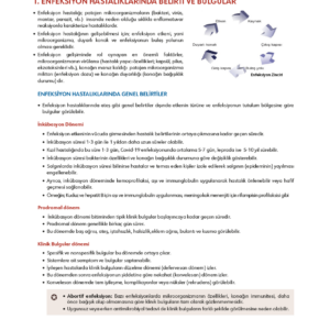 Enfeksiyon Hastalıkları - Görsel 2