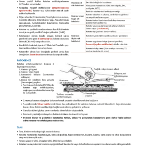 Enfeksiyon Hastalıkları - Görsel 4